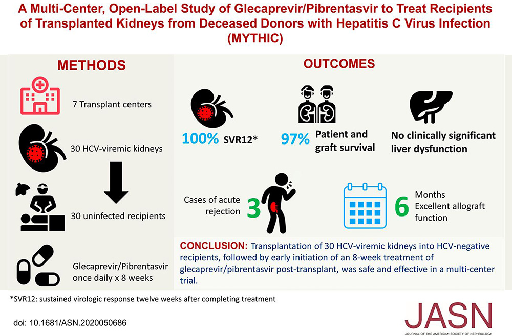 Informational chart titled “A multicenter, open-label study of glecaprevir/pibrentasvir to treat recipients of transplanted kidneys from deceased donors with hepatitis c virus infection”