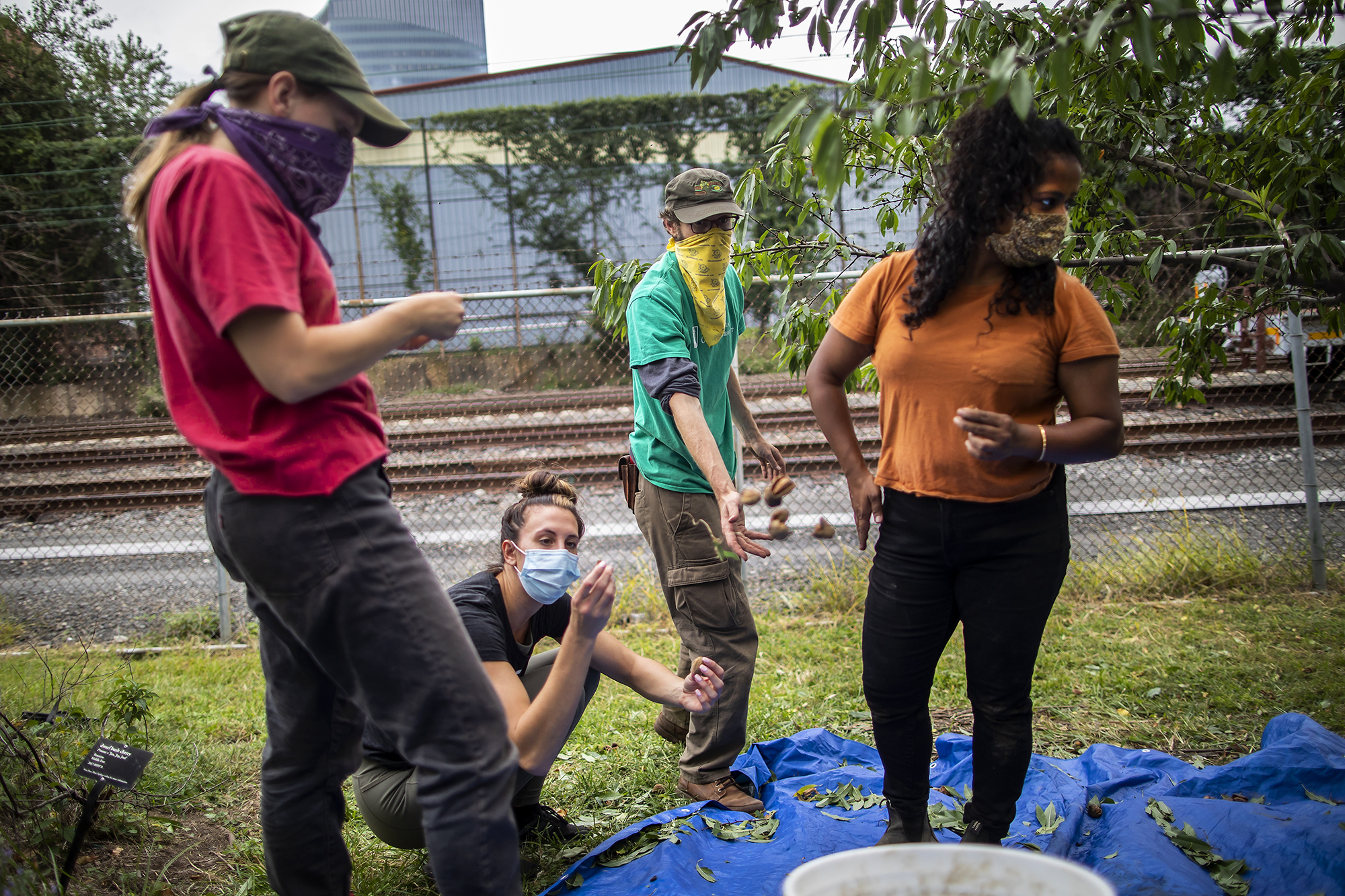 group of students in food wellness garden