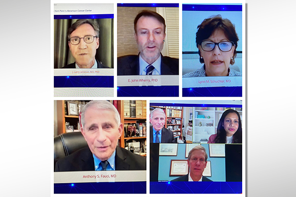 Screen shot of a video conference.