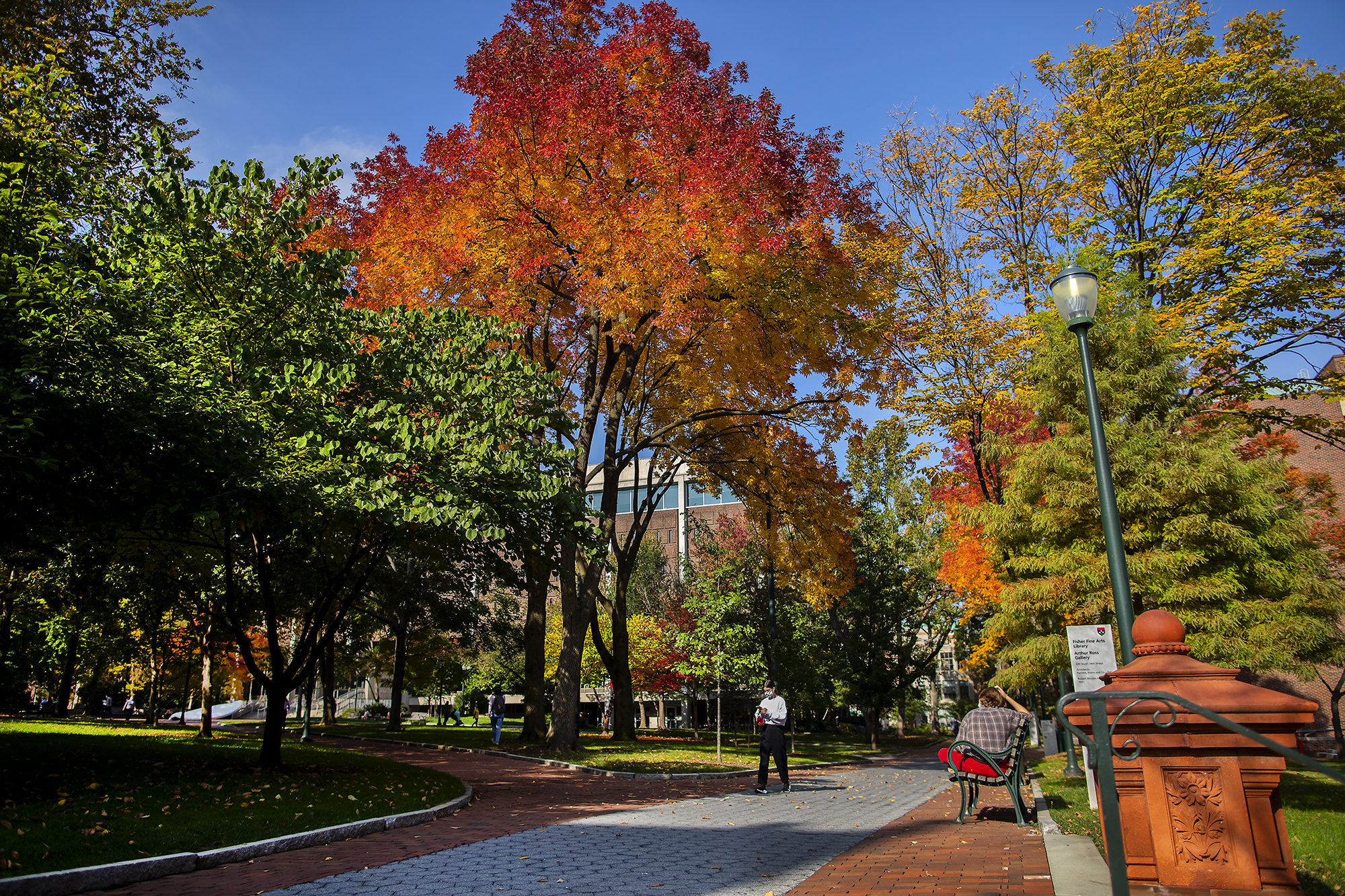 Two people on Locust Walk, one walking, one on a bench, with view of Walnut Street beyond colorful fall trees. 