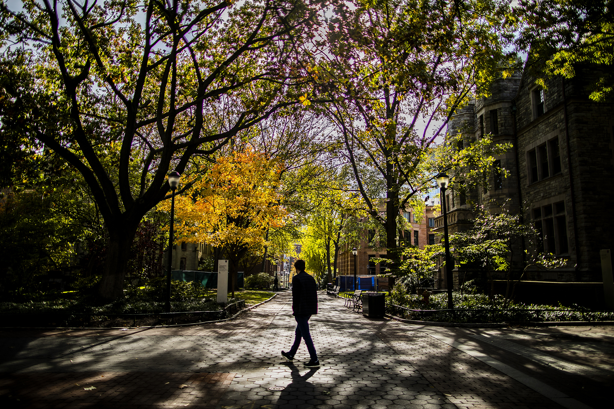 Person walking along Locust Walk at a walkway intersection with colorful autumn leaves.