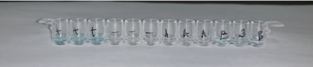 Row of test tubes with clear or blue liquid in them