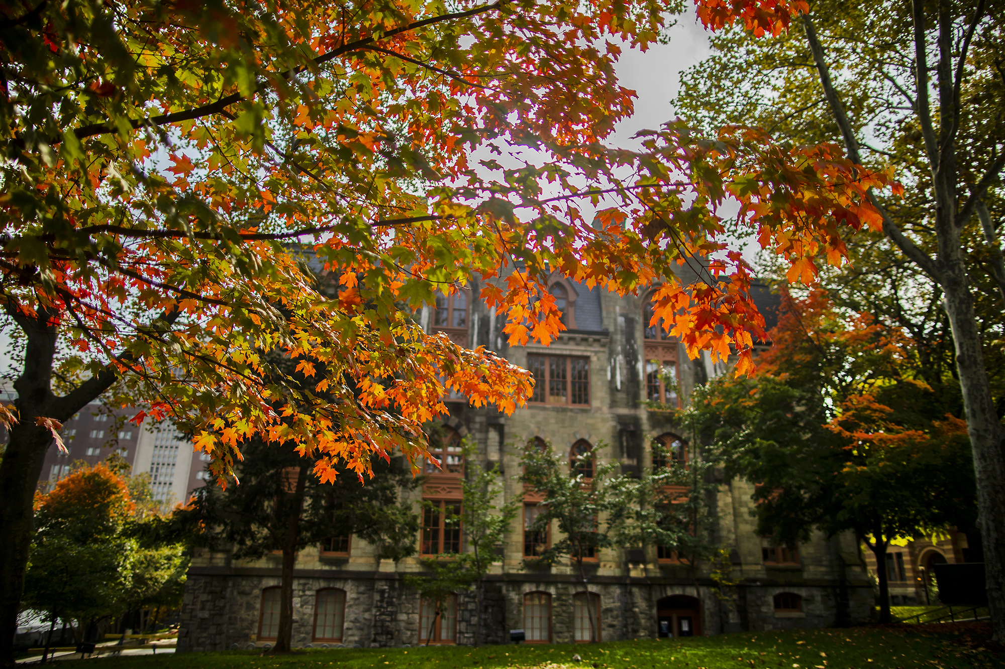 College Hall in daylight in autumn surrounded by fall foliage.