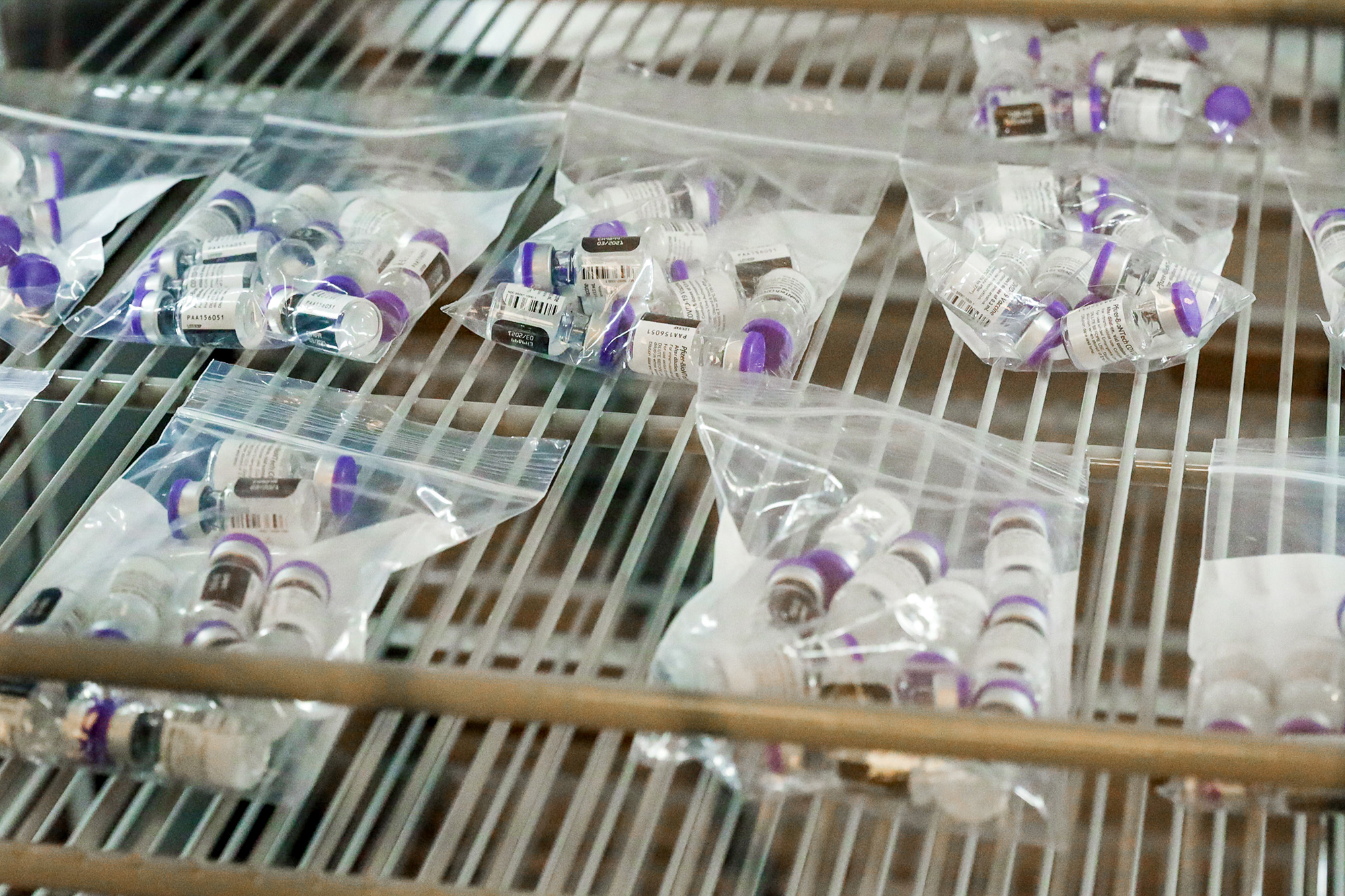 Plastic bags full of several vials of COVID vaccine lay on shelves in a refrigerator.