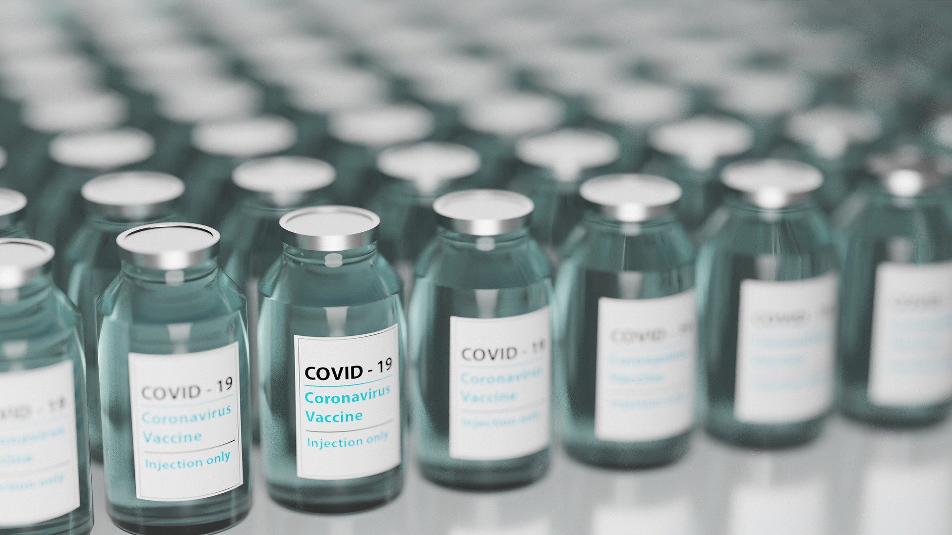Rows of COVID-19 vaccine vials