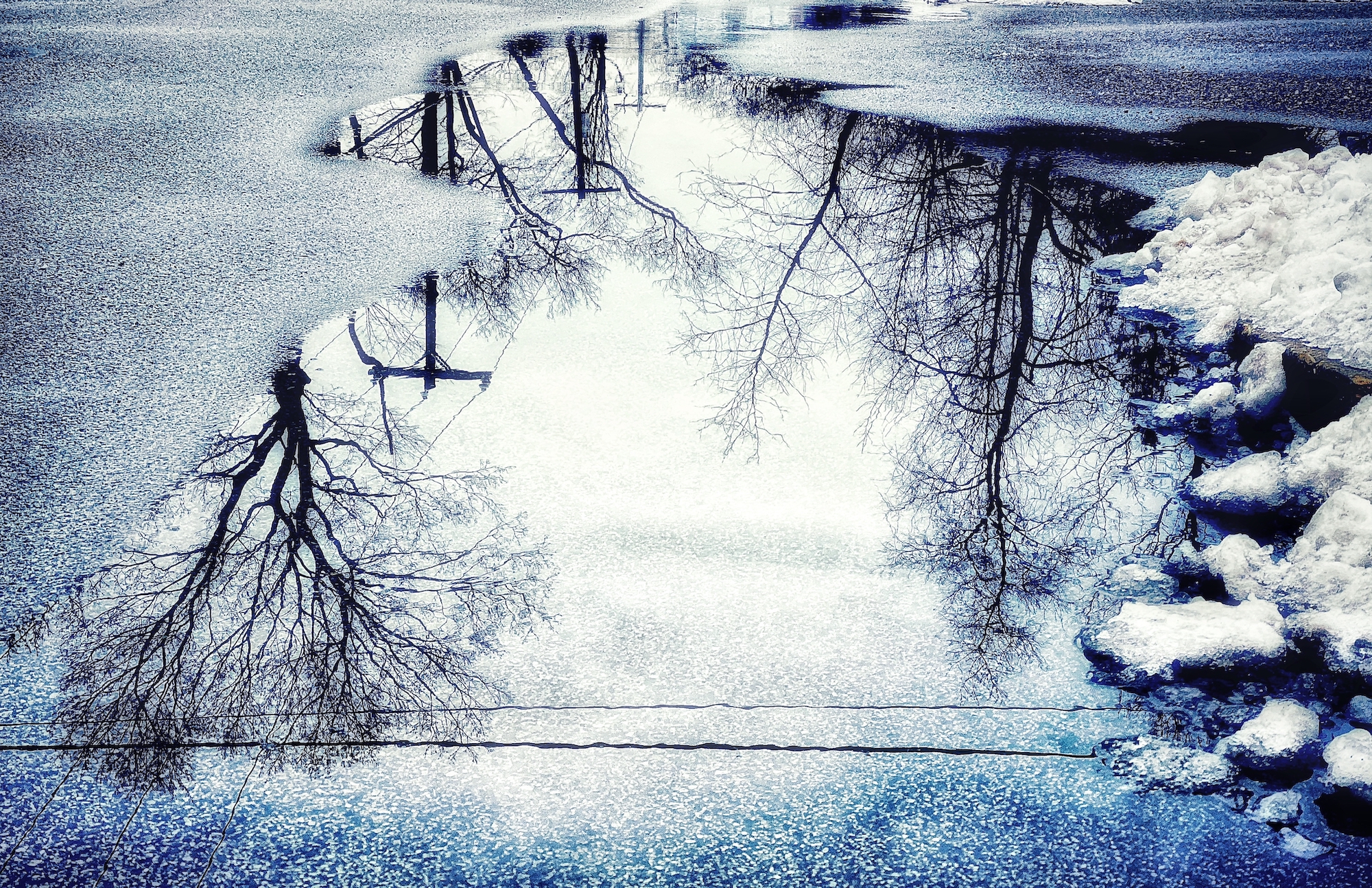 Trees and sky reflected in a puddle on asphalt, with a pile of snow showing on the right-side of the image.