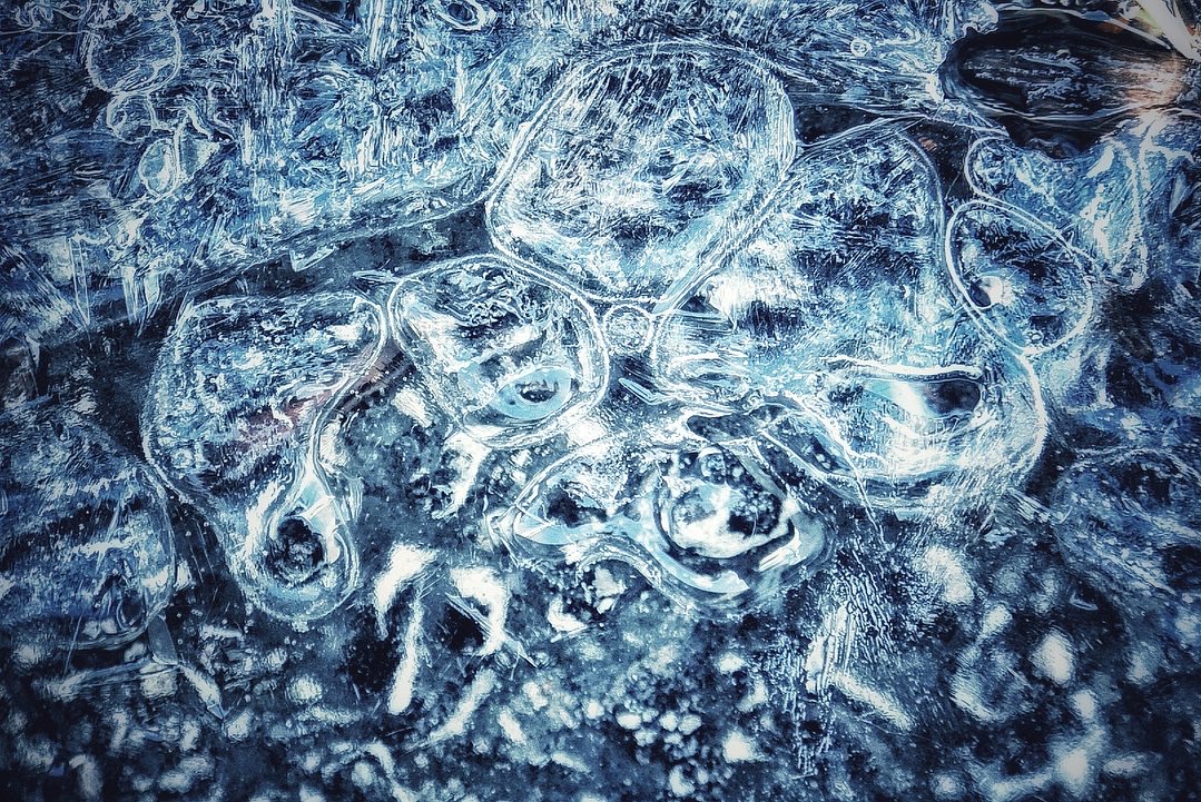 A close-up image of ice frozen on top of asphalt. 