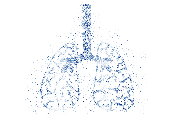 Diagram of lungs comprised of microscopic dots.
