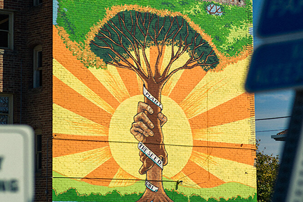 Mural of a tree trunk with a banner wrapped around it that reads PLANT THE SEED UBI against a shining sun.