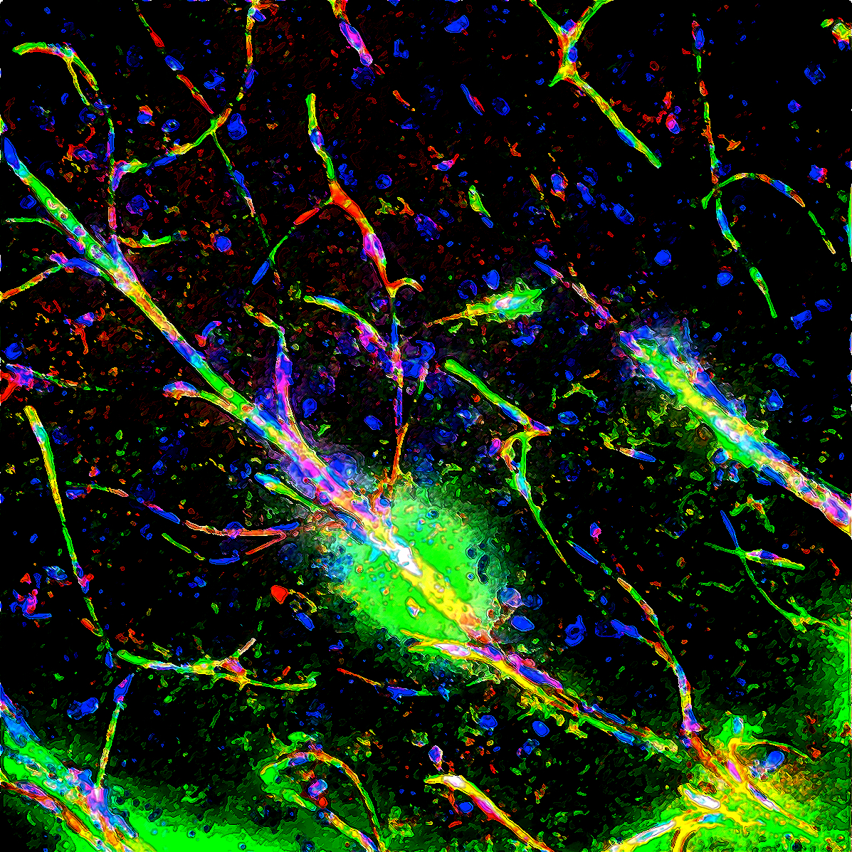 A microscopic image of a neuron labeled in fluorescent colorful markers