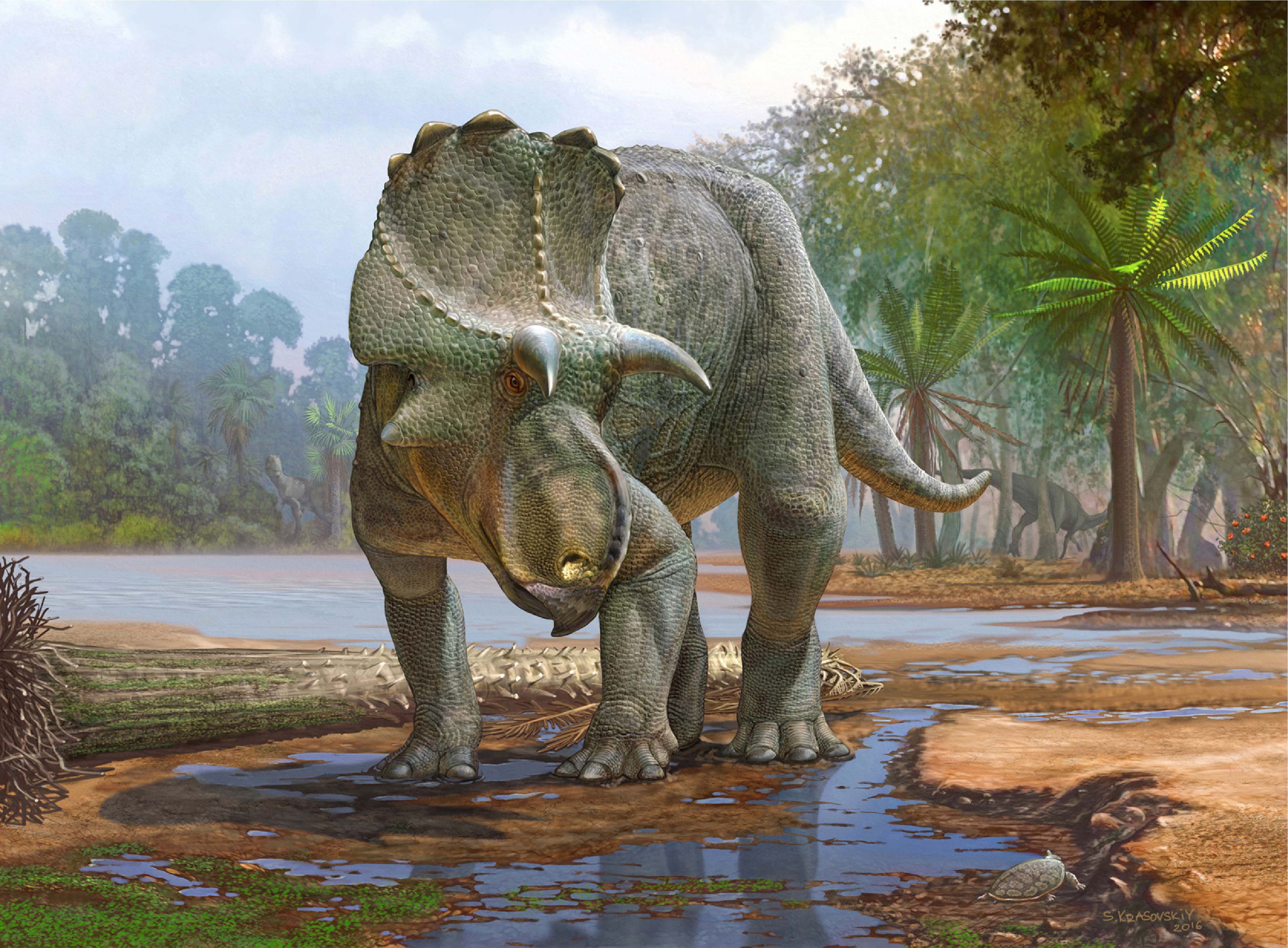 Illustration of a horned dinosaur in a jungle setting