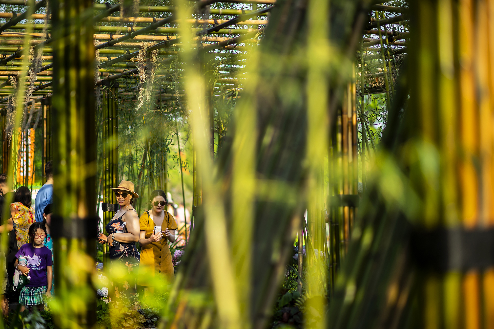 Guests walk through bamboo exhibit