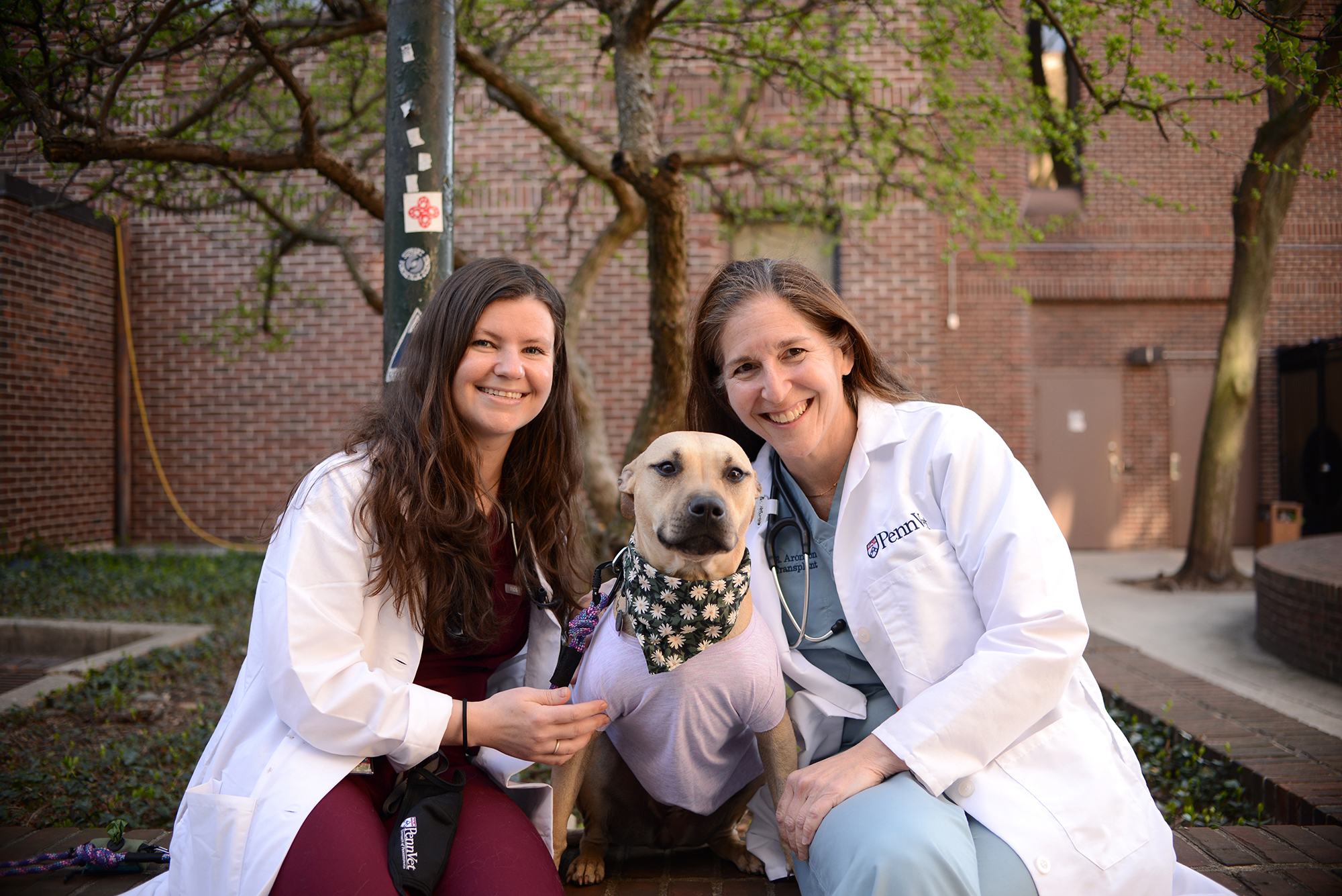 daisy with penn vet doctors
