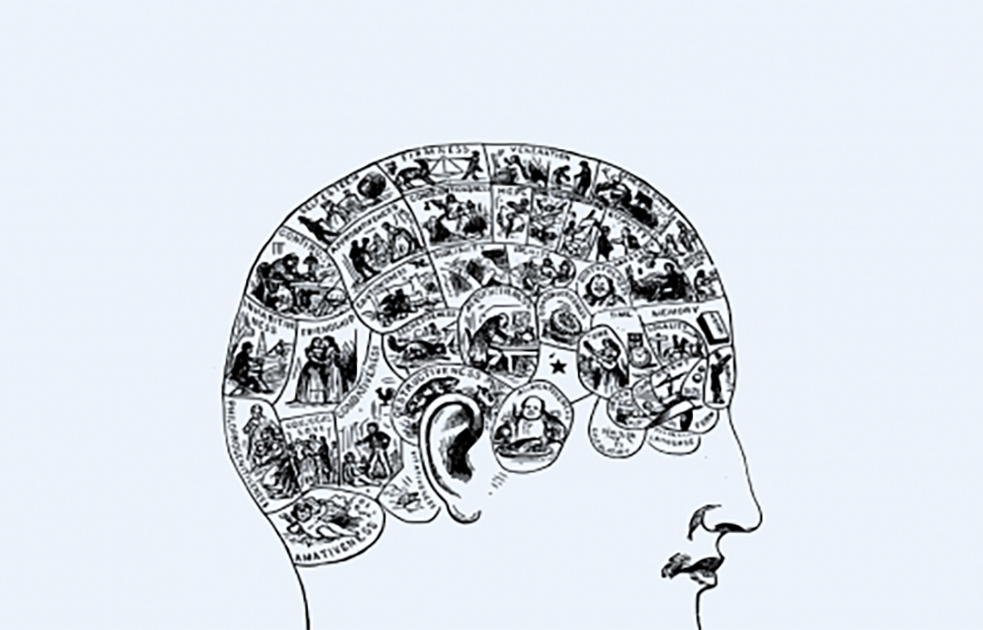 historic illustration of a phrenology map of someone’s skull.