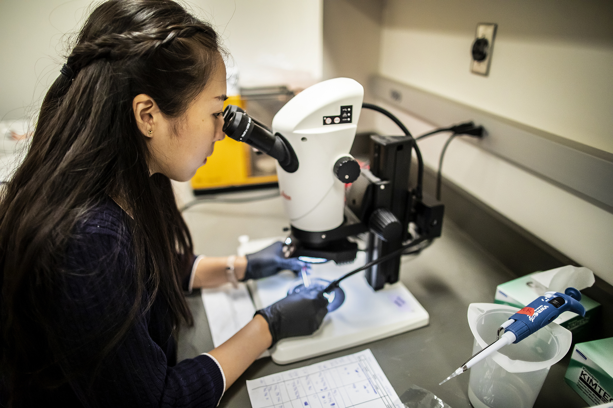 Nova Meng peers through a microscope