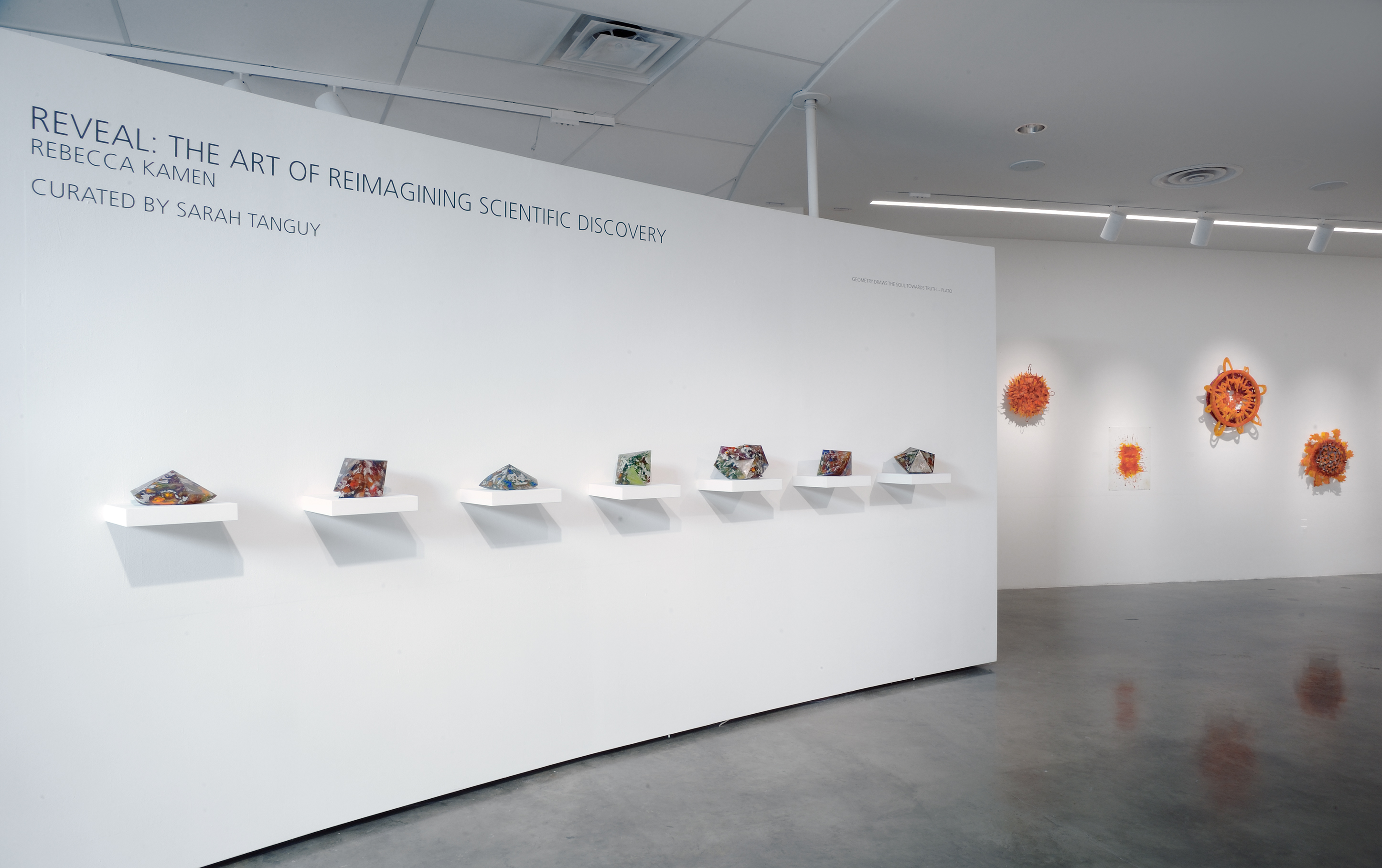 the entrance to an art exhibit called Reveal the art of reimagining scientific discovery, with white shelves of sculptures and wall displays in the background