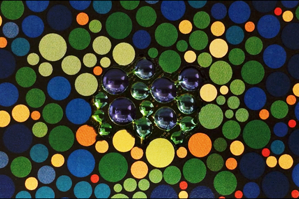 Multicolored, multisized circles forming a patttern to serve as camouflage.