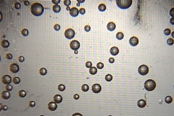 Microscopic image of microbubbles.