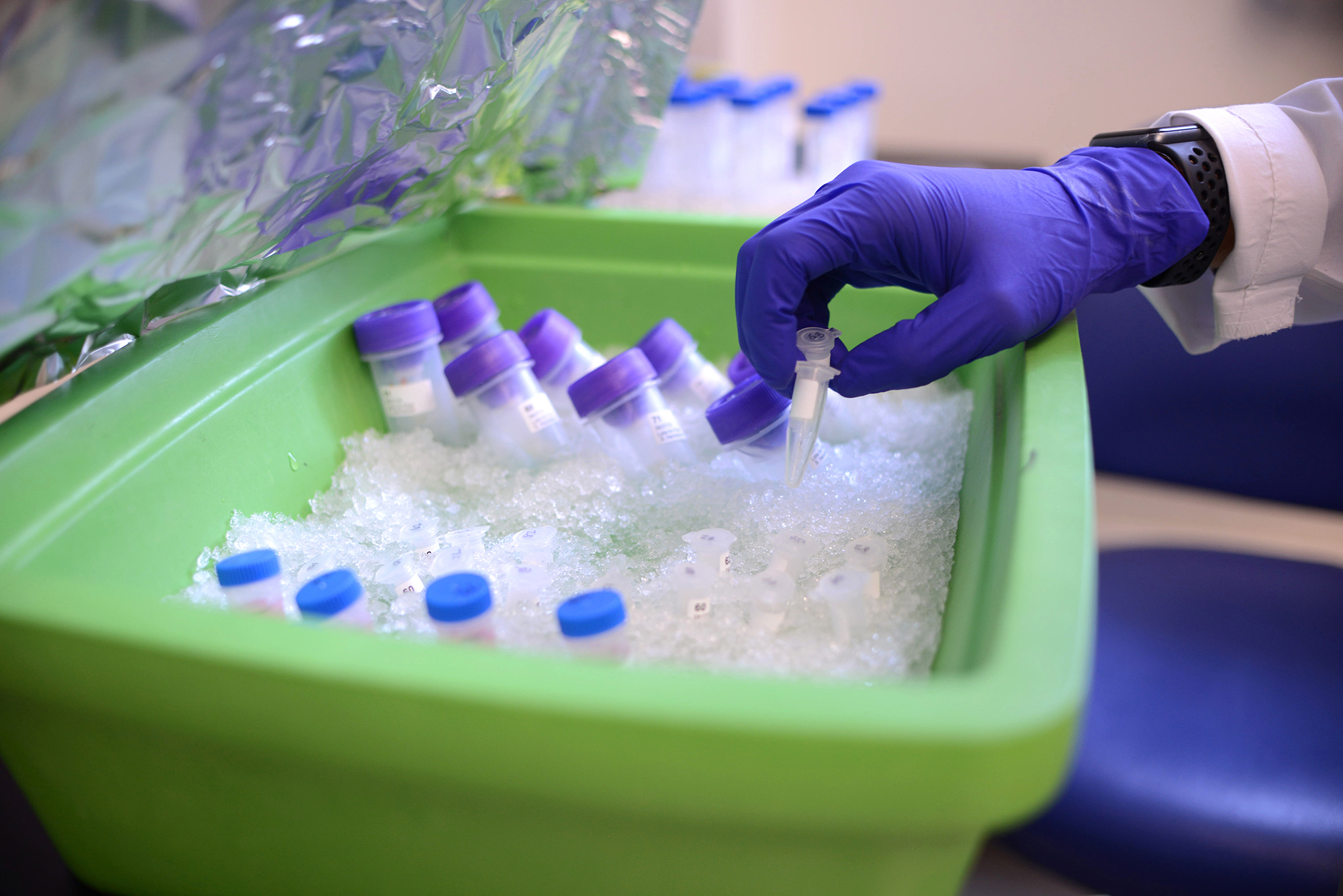 vials in tub of ice with gloved hand