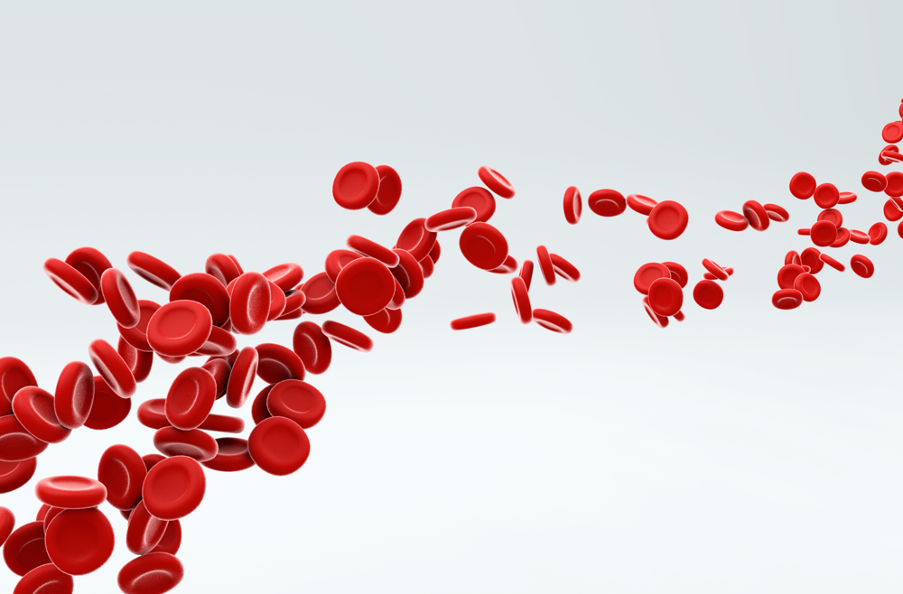 Cluster of red blood cells in motion.