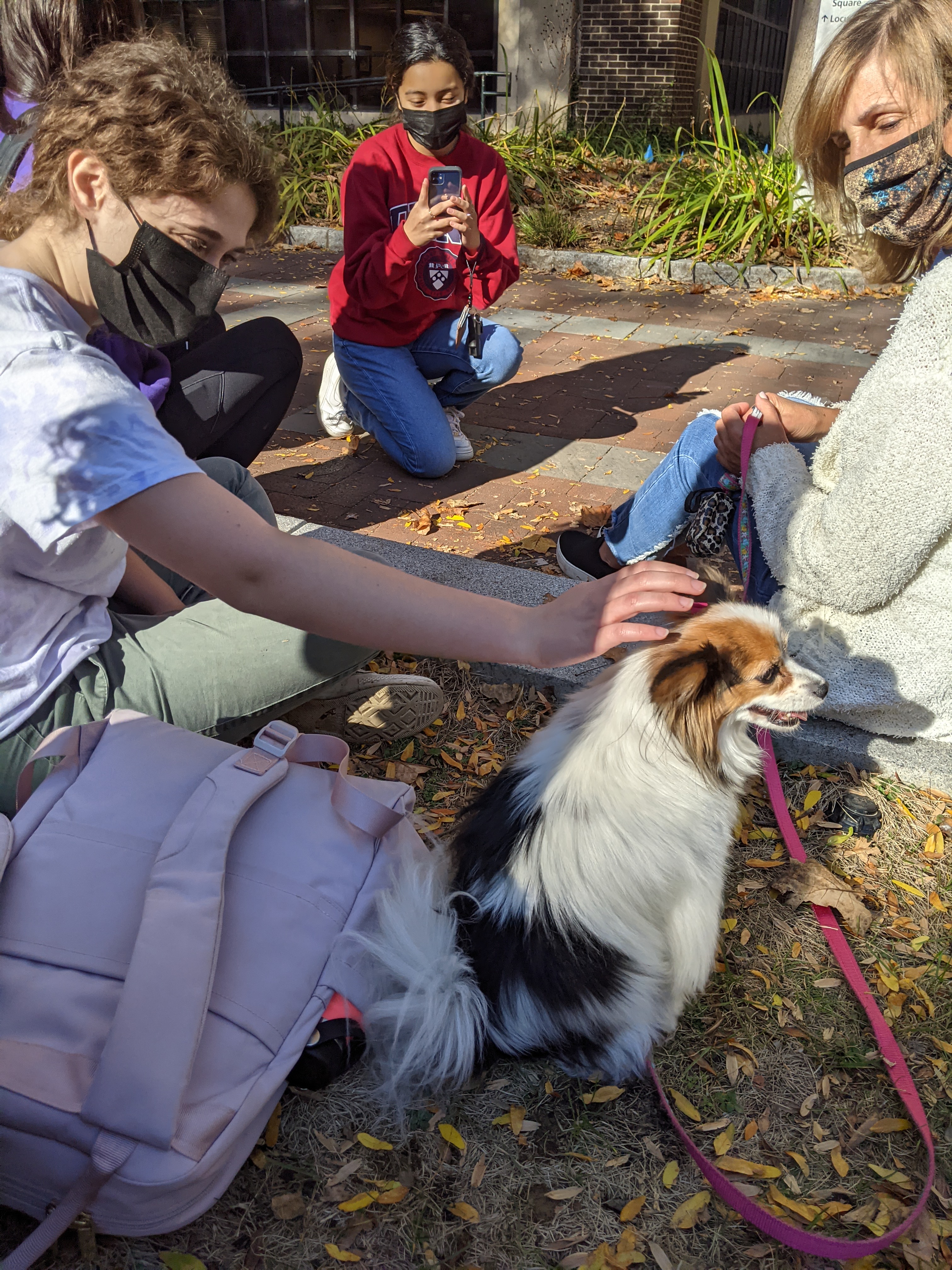Penn students petting a dog outside