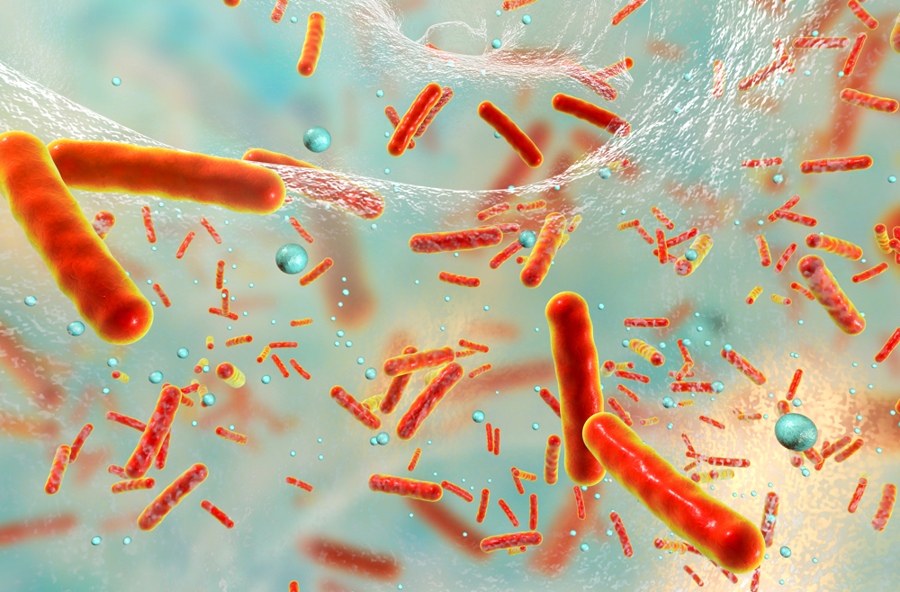 Microscopic rendering of sepsis cells.