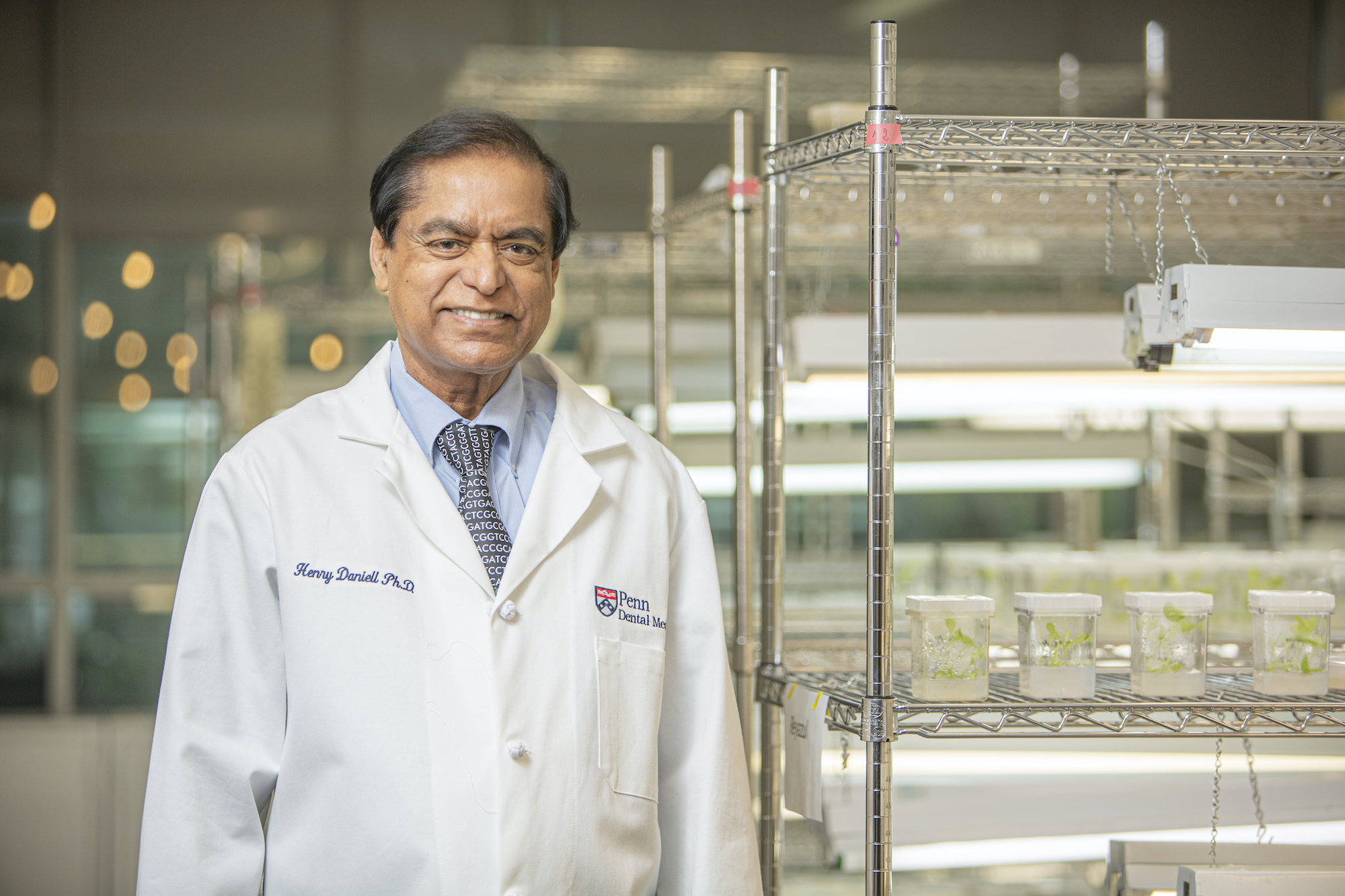 Scientist Henry Daniell in his lab with plants growing in vials