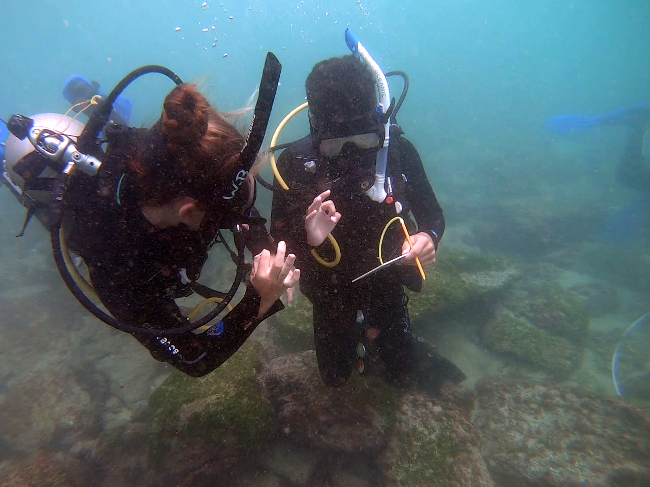 divers in the galapagos islands