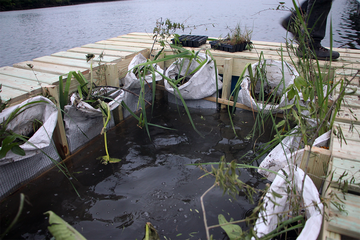plants held in containers are suspended from decking above open water