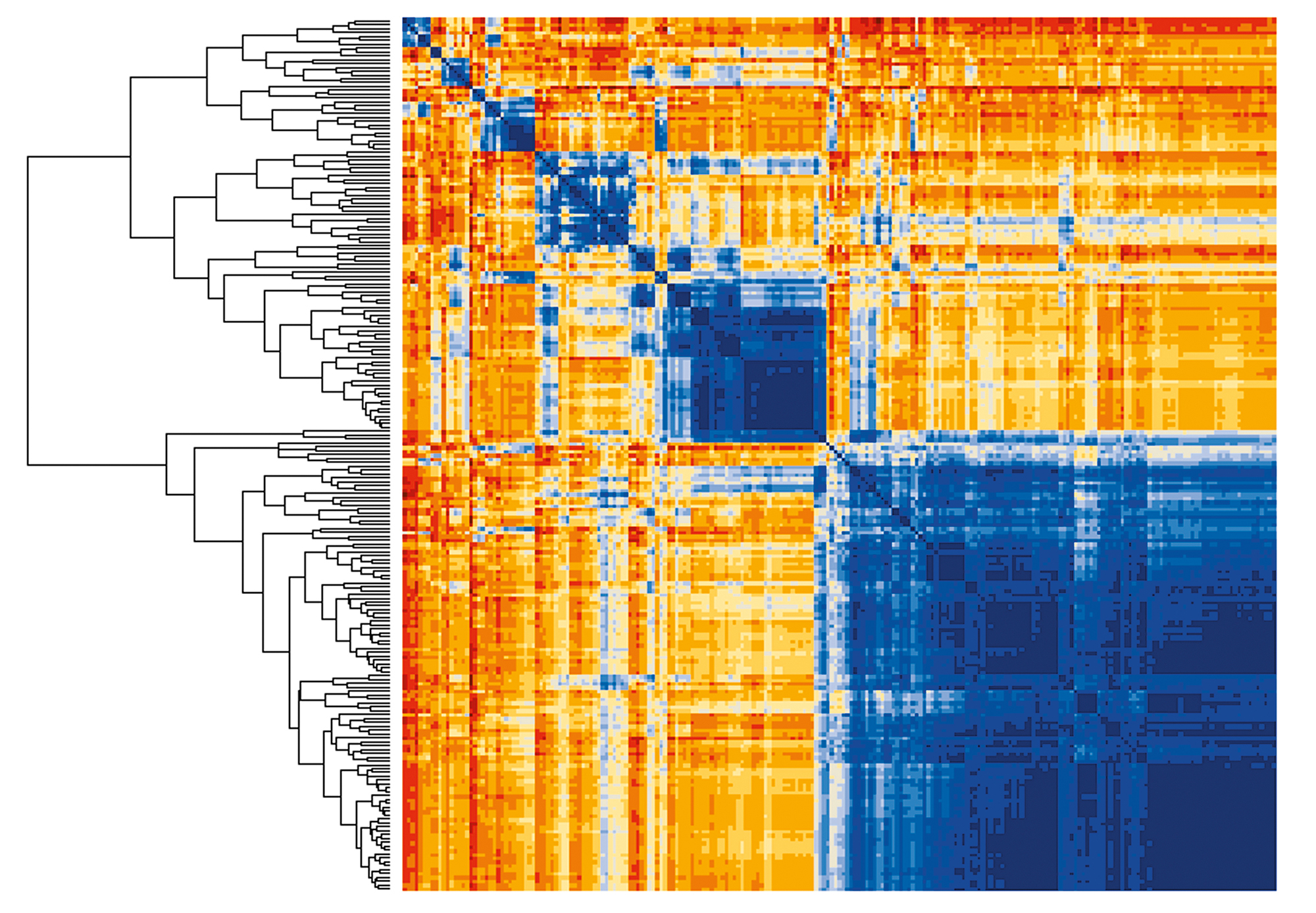 data science graphic from jen cremins