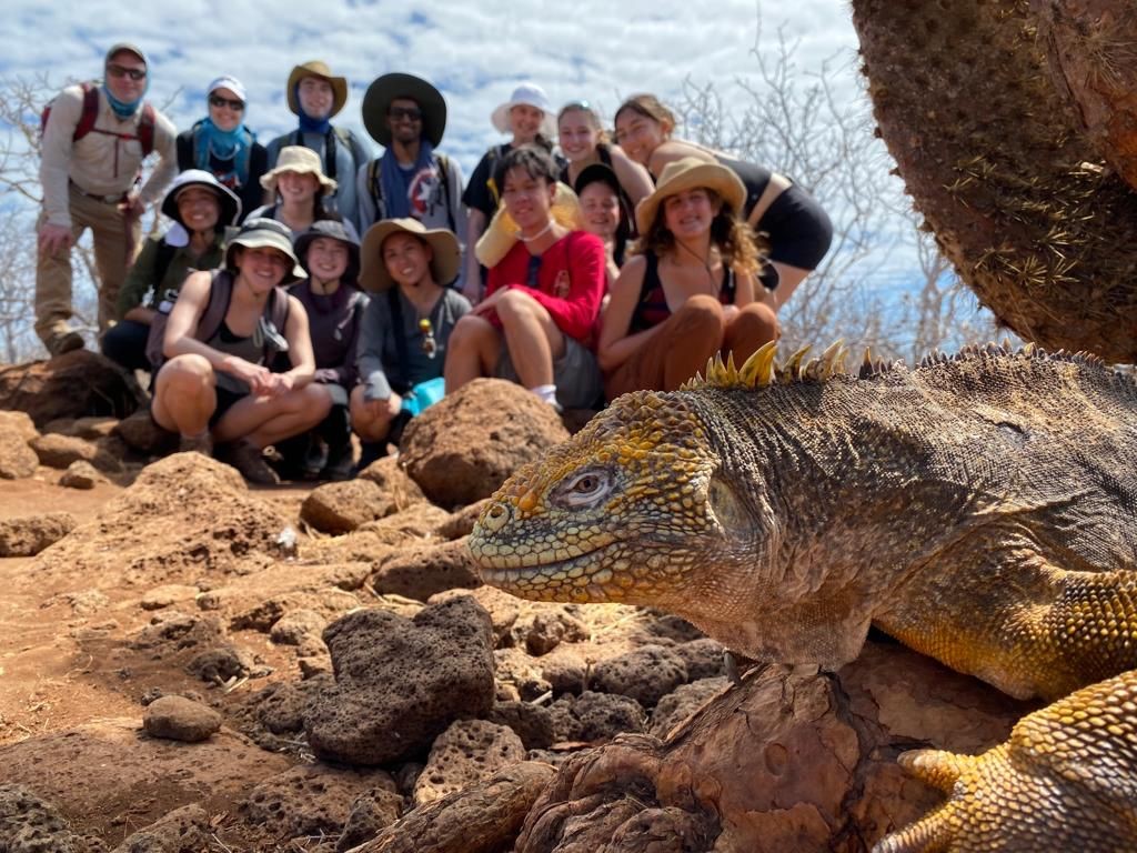 A group of students sit and smile for the camera on the ground in the Galapagos while a large lizard walks in the foreground.