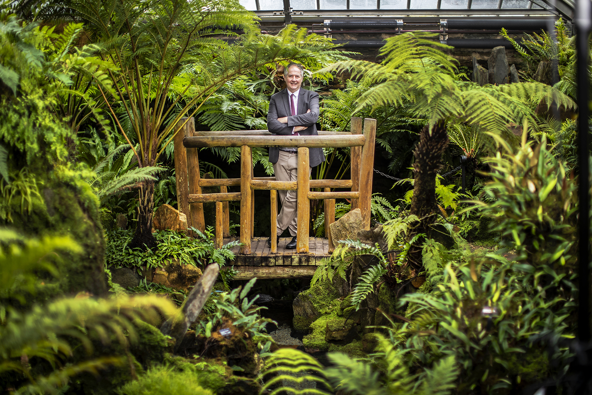 Bill Cullina stands on bridge surrounded by ferns