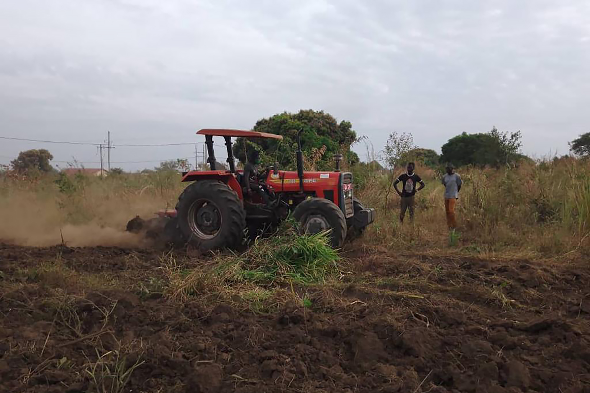 A tractor in a field in Uganda.