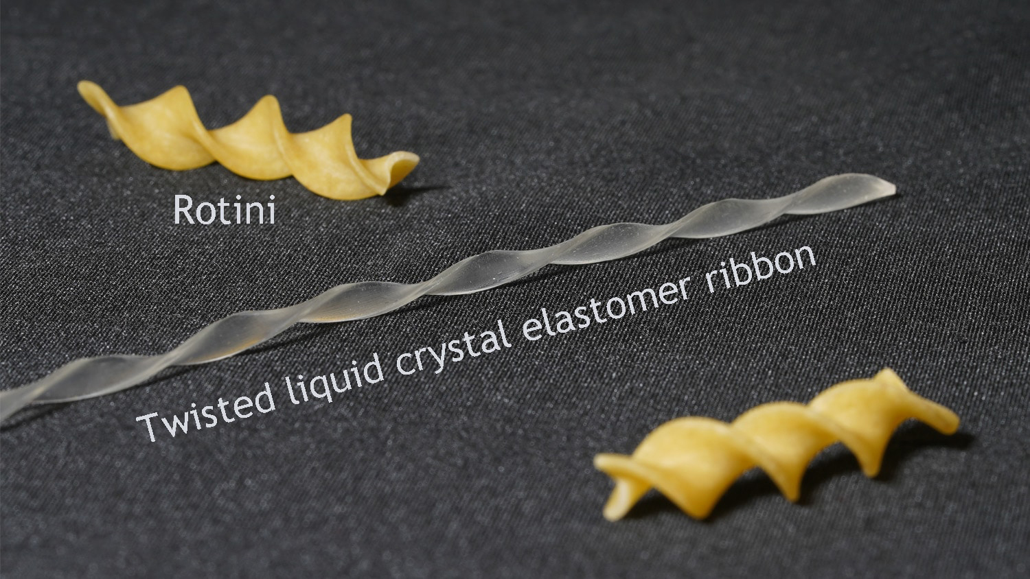 Two pieces of rotini and a twisted liquid crystal elastomer ribbon.