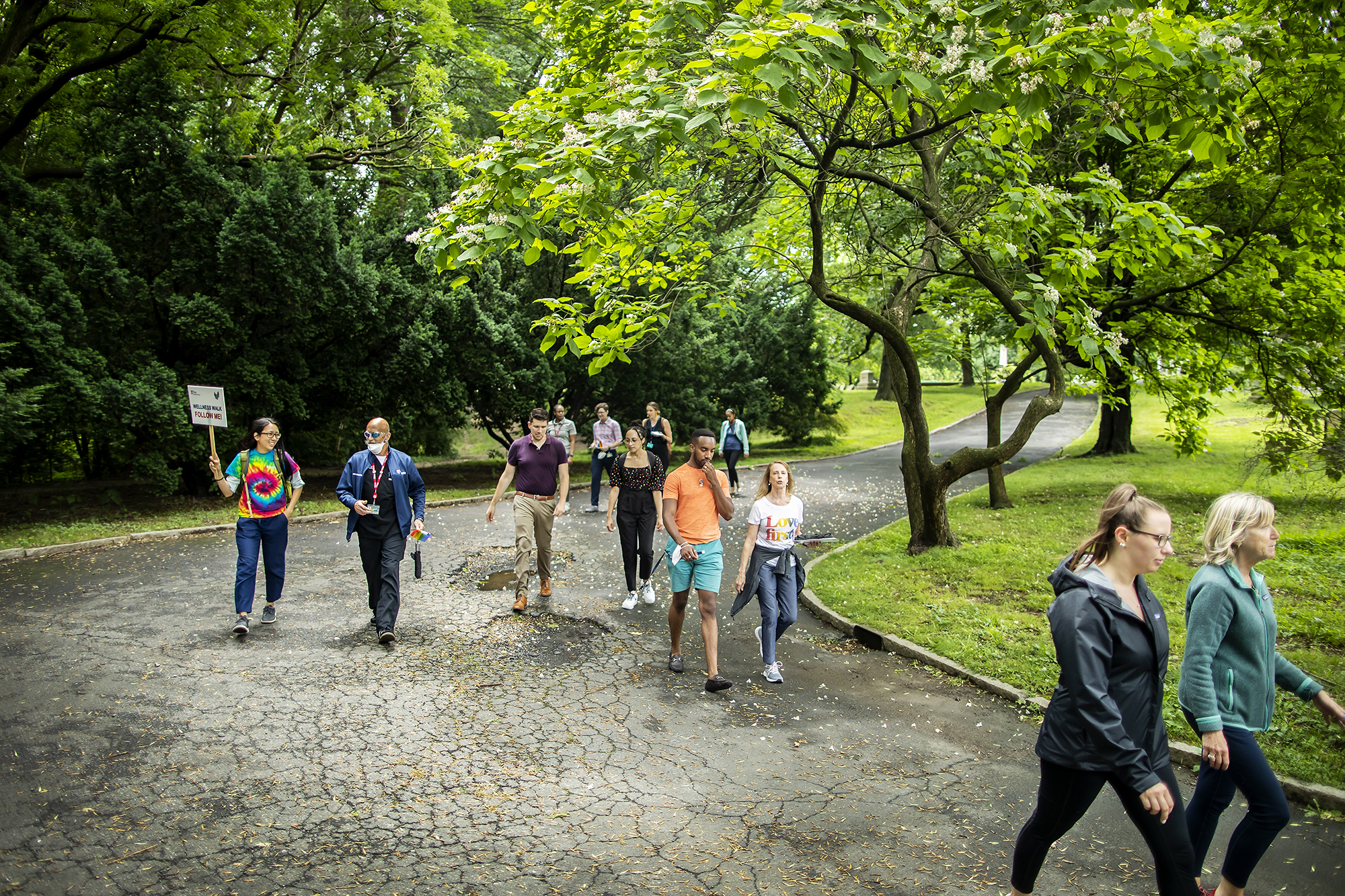 A group of people round the corner on a wooded walk