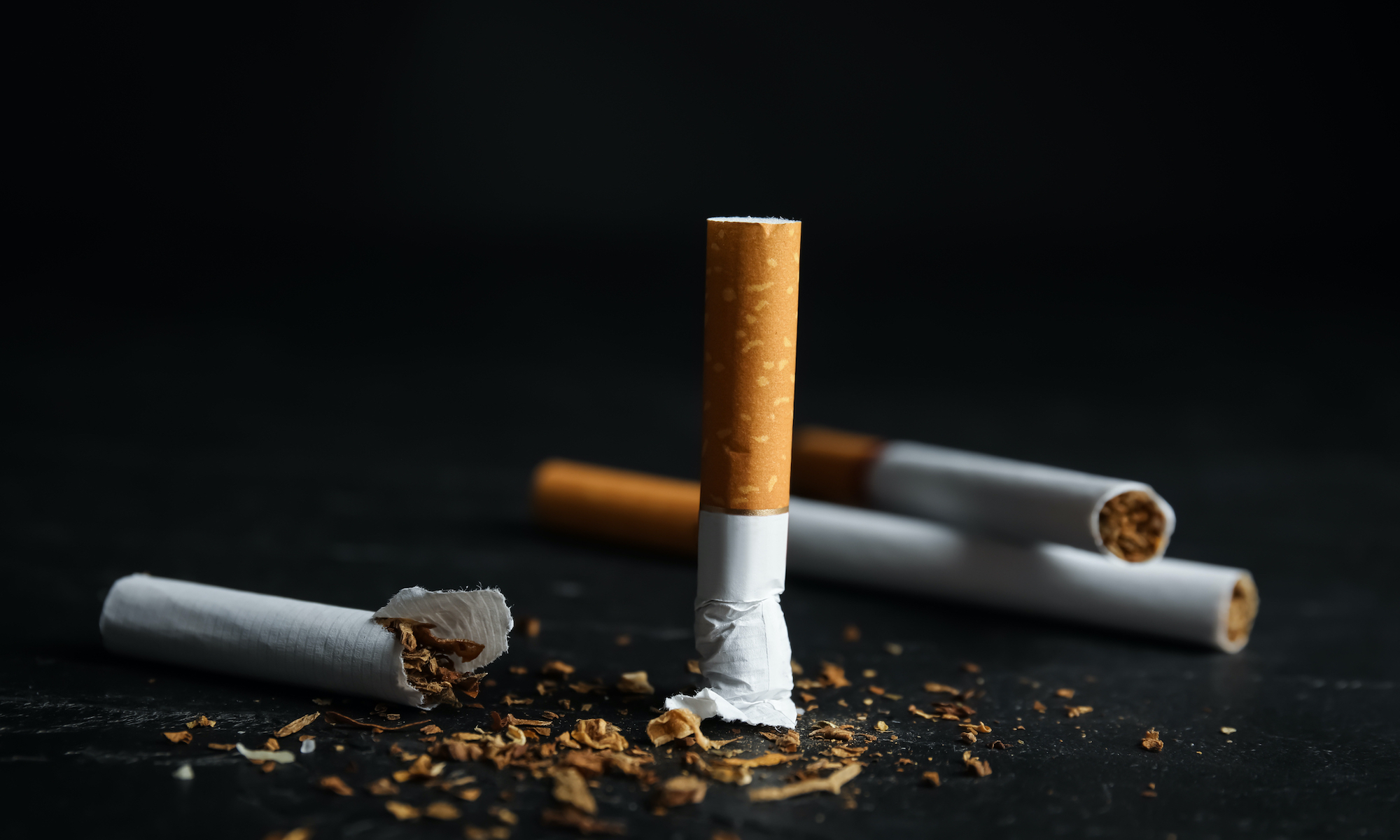 A put-out cigarette standing on its end, next to half of another crumpled cigarette. In the background are two whole cigarettes.