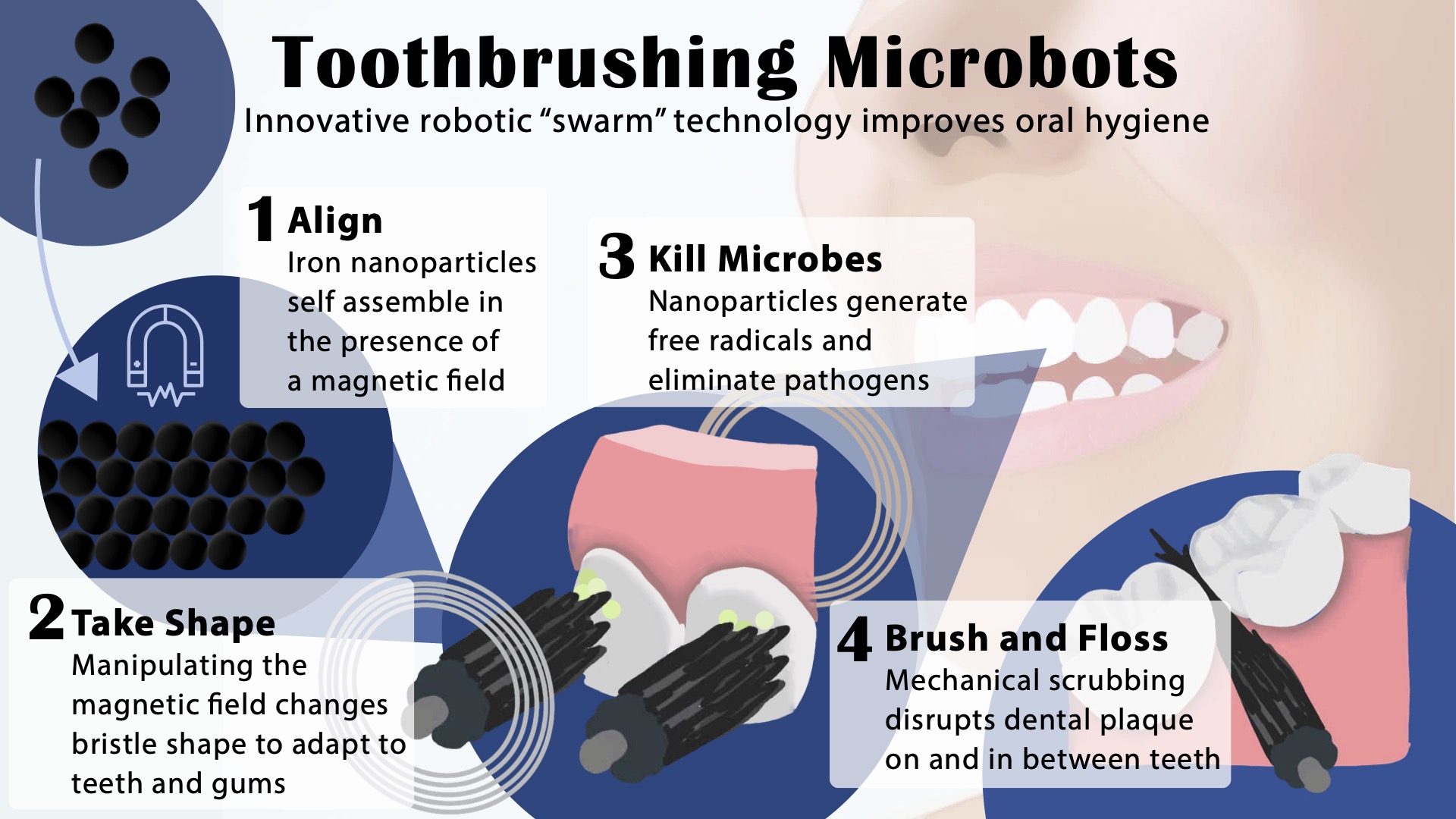 Image of smiling person using new technology to clean teeth: Toothbrushing Microrobots. Innovative robotic "swarm" technology improves oral hygiene. step one is align. Step two is take shape. Step three is kill microbes. Step four is brush and floss
