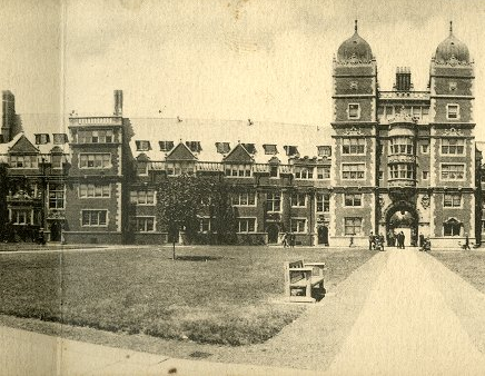 Black and white photo of Quadrangle dormitories and small tree growing