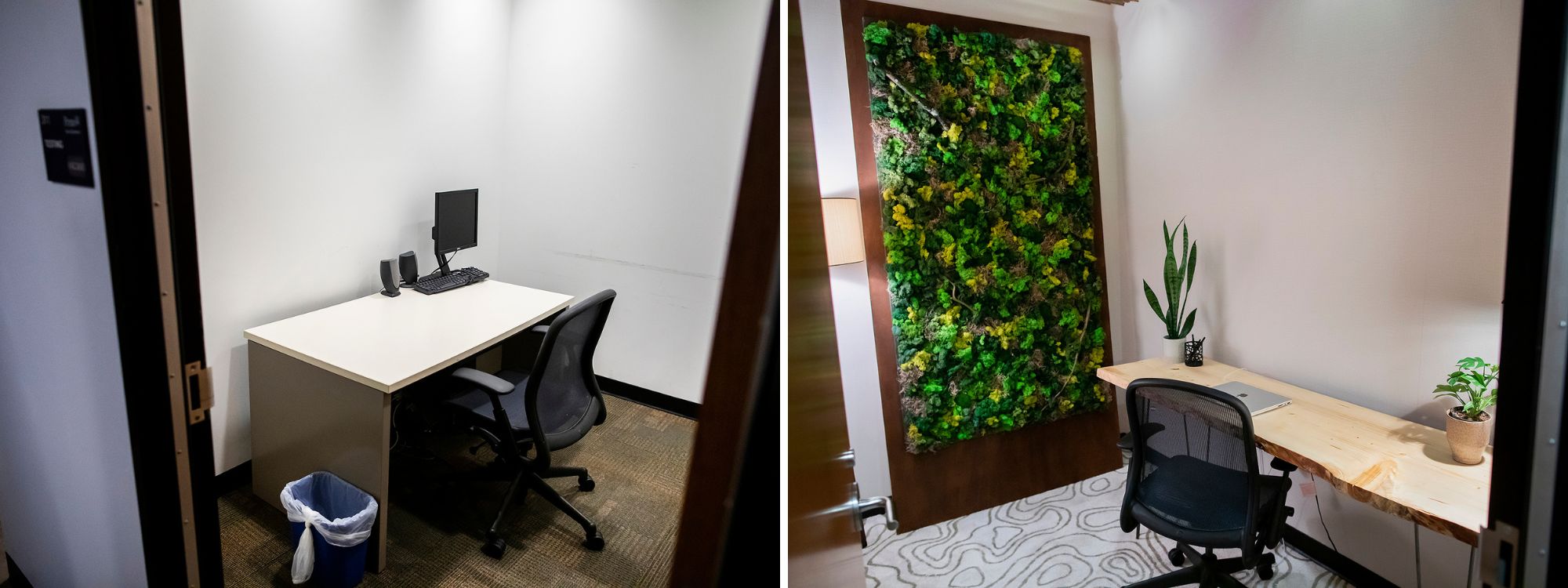 Left: the original, plain office room; right: a living wall beside a desk with a potted plant.