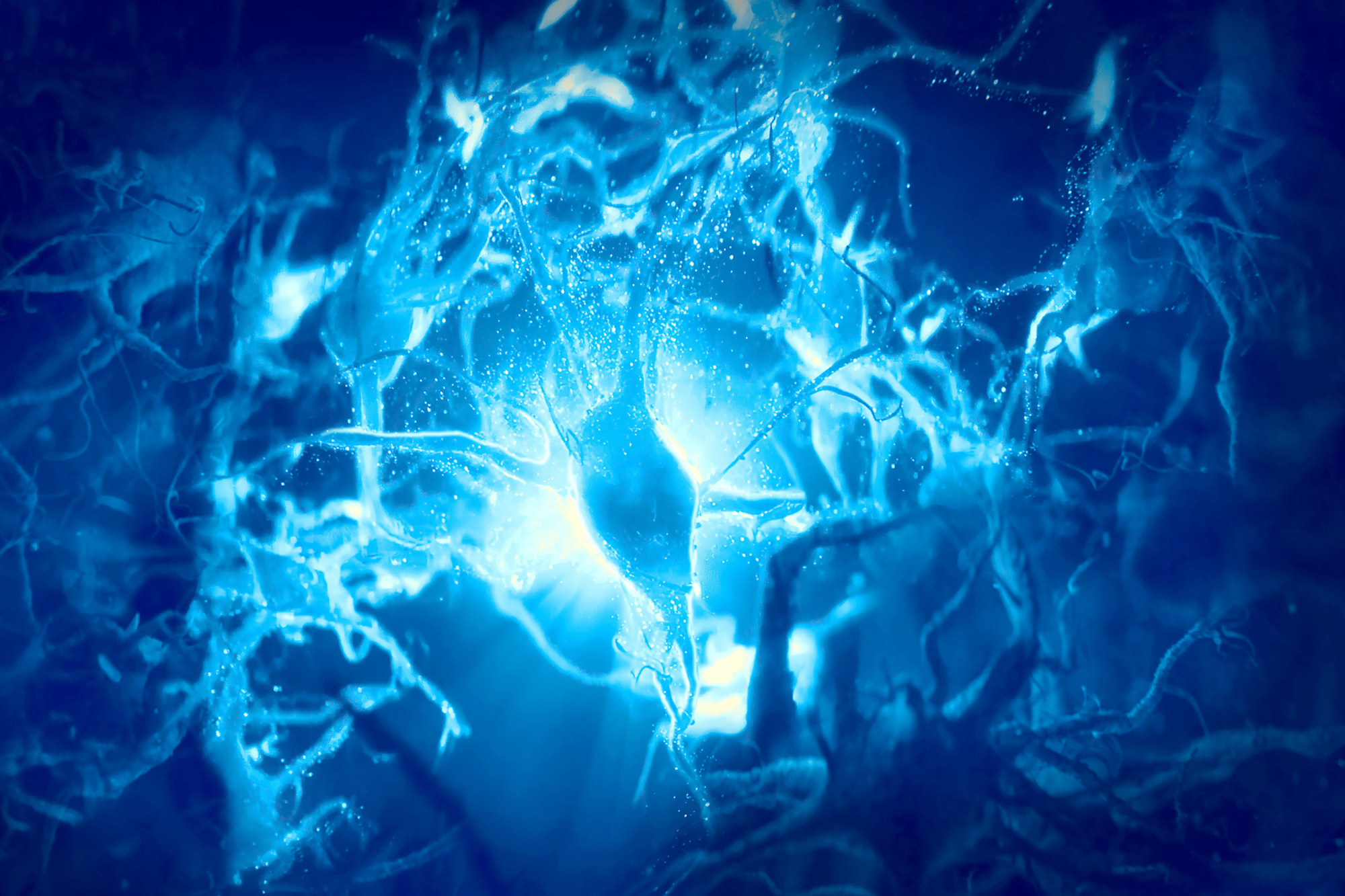 Microscopic view of illuminated brain neurons.
