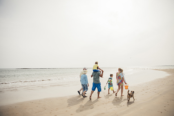 Back view of family and dog walking together down an empty beach