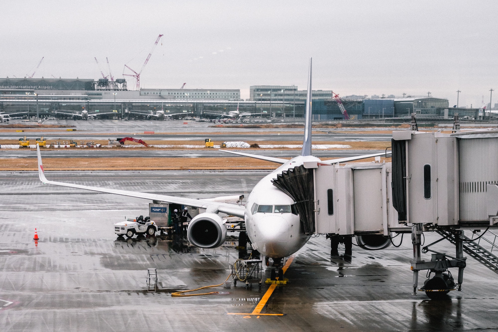 Image of an airport with a plane attached to the gate