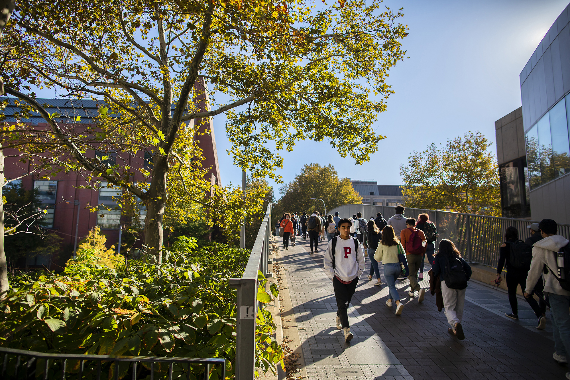 Students walking outside on Penn's campus.
