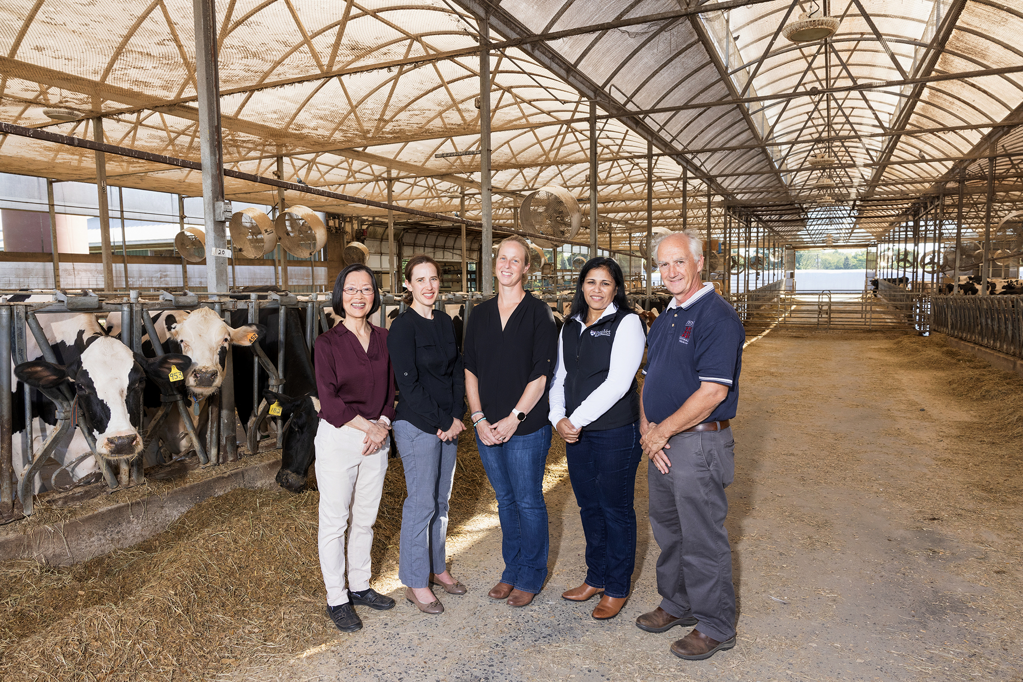 Five members of CSAFS standing in a stable with cows.