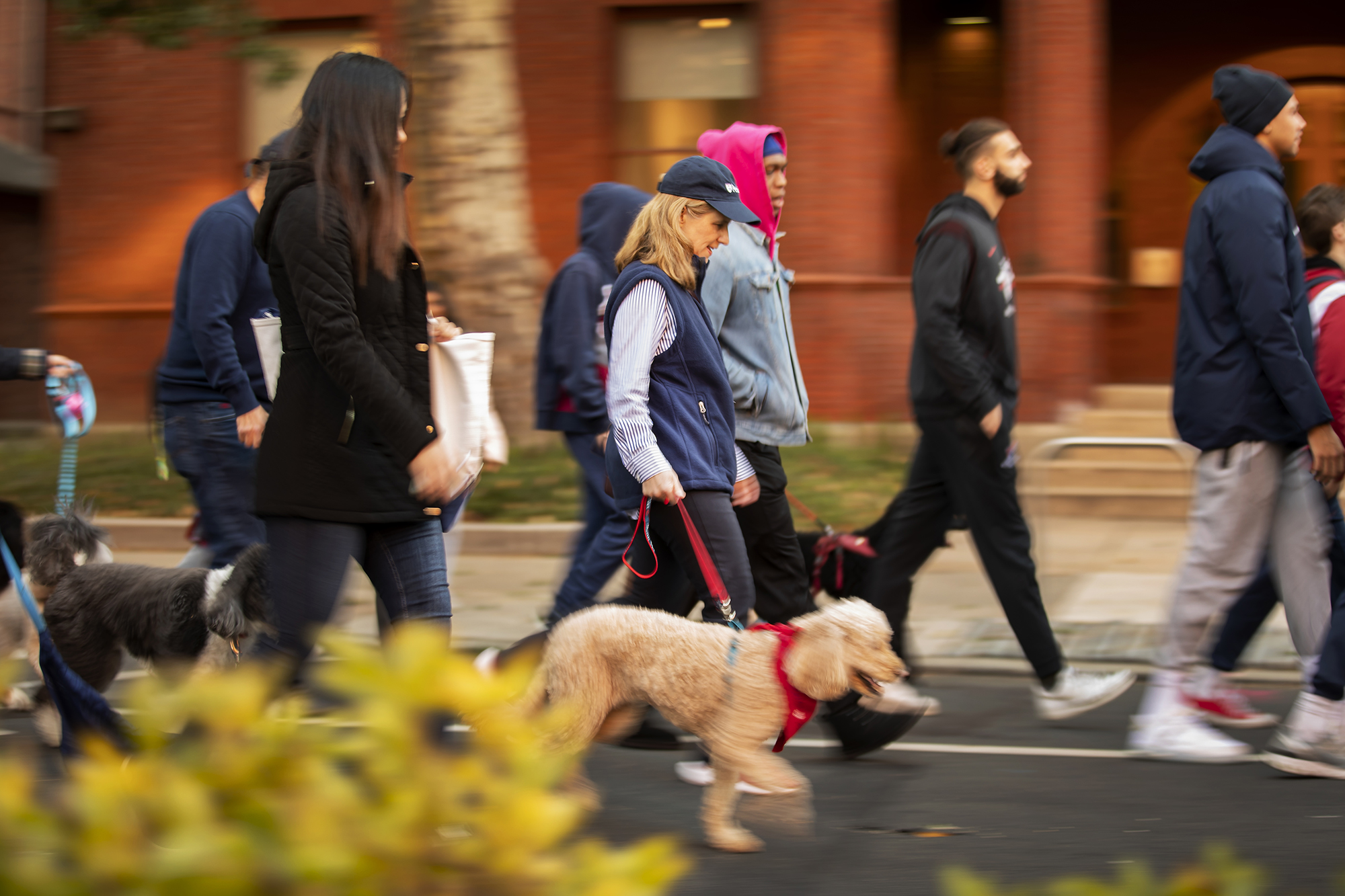 penn president liz magill walking with dogs on 34th street