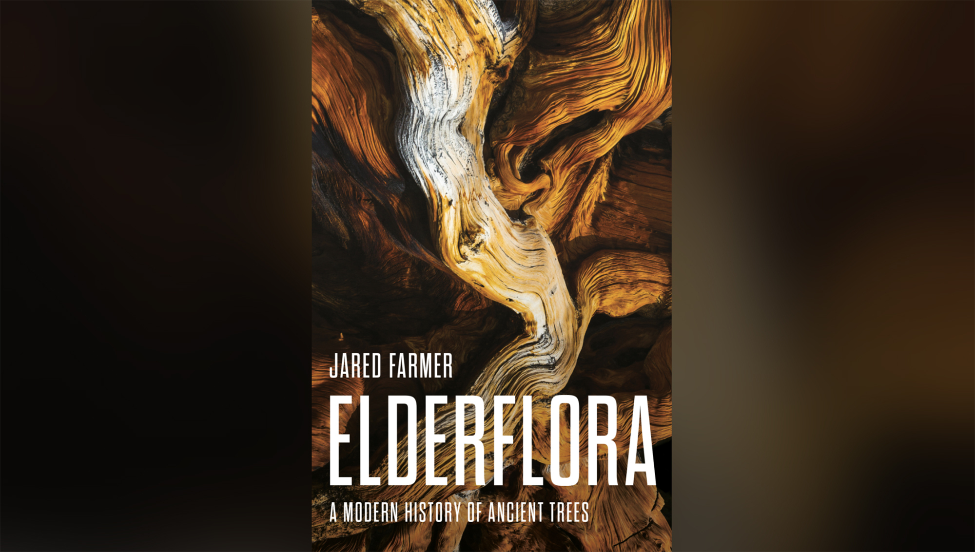 A book cover of Jared Farmer's new book Elderflora shows and up close image of a Bristlecone Pine.