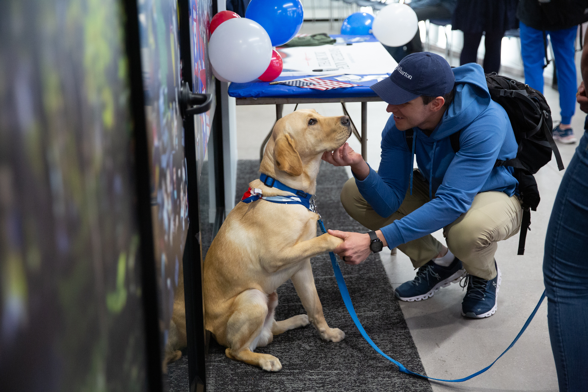 Training service dogs for military members is therapy for veterans at  Penn's new program