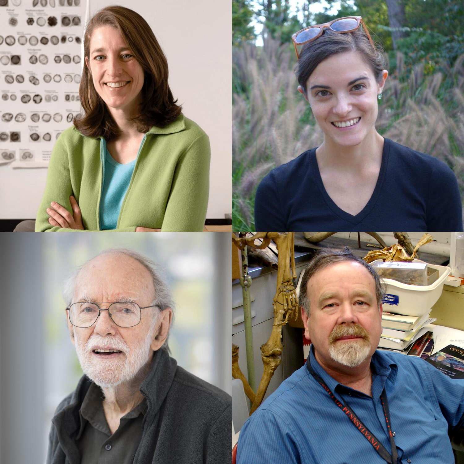 Headshots of Penn faculty Kathleen Morrison, Corlett Wood, Peter Dodson, and Daniel Janzen