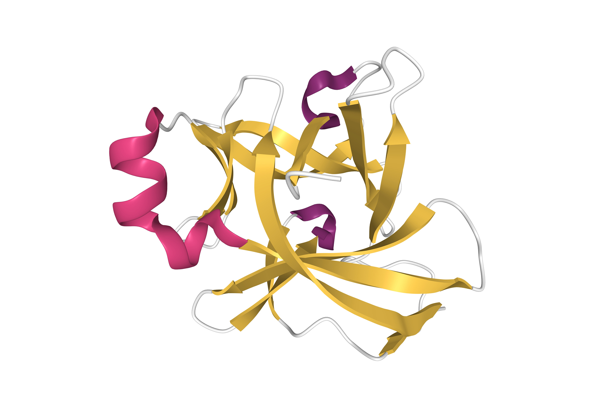 Microscopic rendering of interleukin 18 protein.