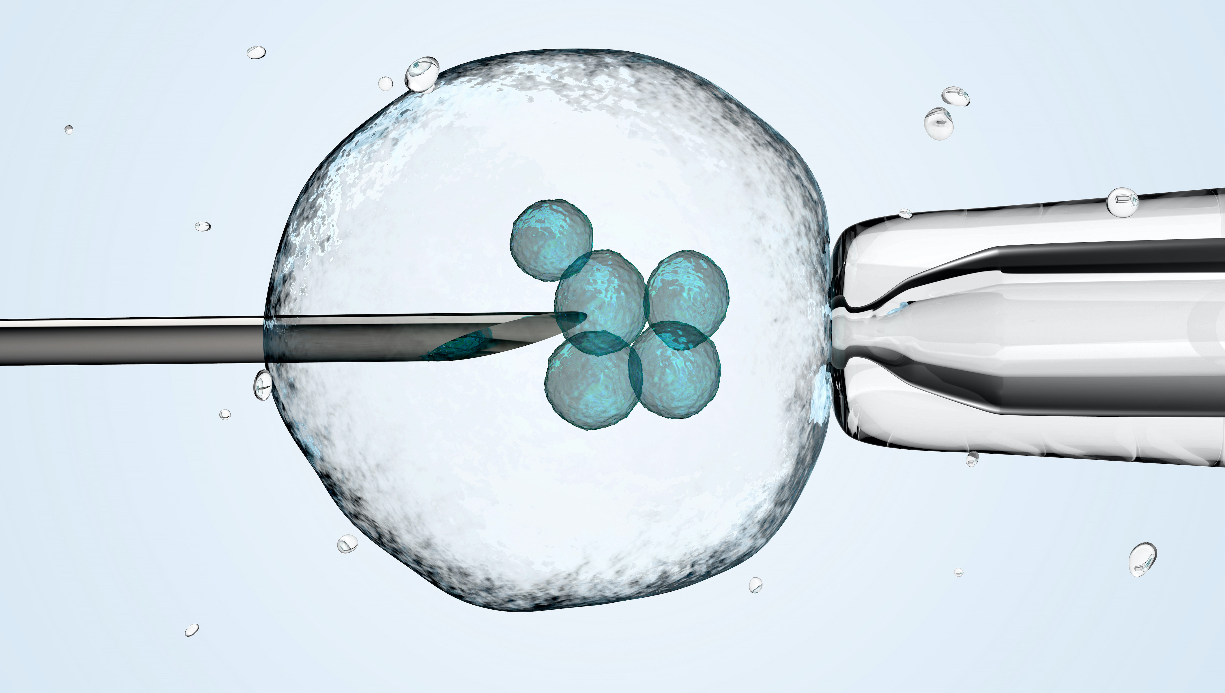 3D illustration of a cell being held by a pipette and a needle.